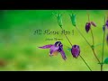 Johnny Tillotson - All Alone Am I (lyrics)