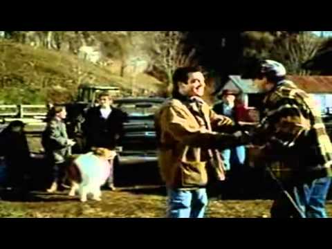afbeelding Lassie (1994) - Trailer