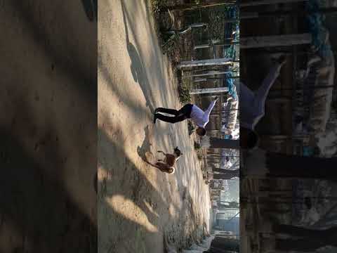 কুকুর আর মানুষের লড়াই......