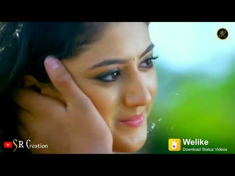 New Love status video 2019 creation by TR aathak