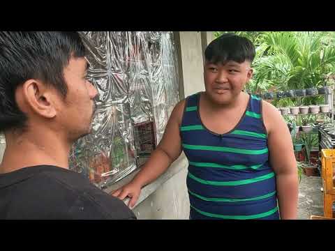 Butsog - Baak Andres