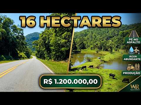 FAZENDA 16 HECTARES PÉ NO ASFALTO COM PRODUÇÃO DE PEIXE | R$: 1.200.000,00 SETE BARRAS-SP
