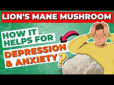 Find Relief from Depression and Anxiety with Lion's Mane Mushroom