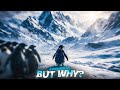 He Never Looked Back Penguin Story Edit Official 6 Sahil