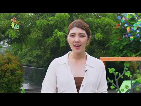 Hot Tainan EP8.A Green Science Park in Southern Taiwan