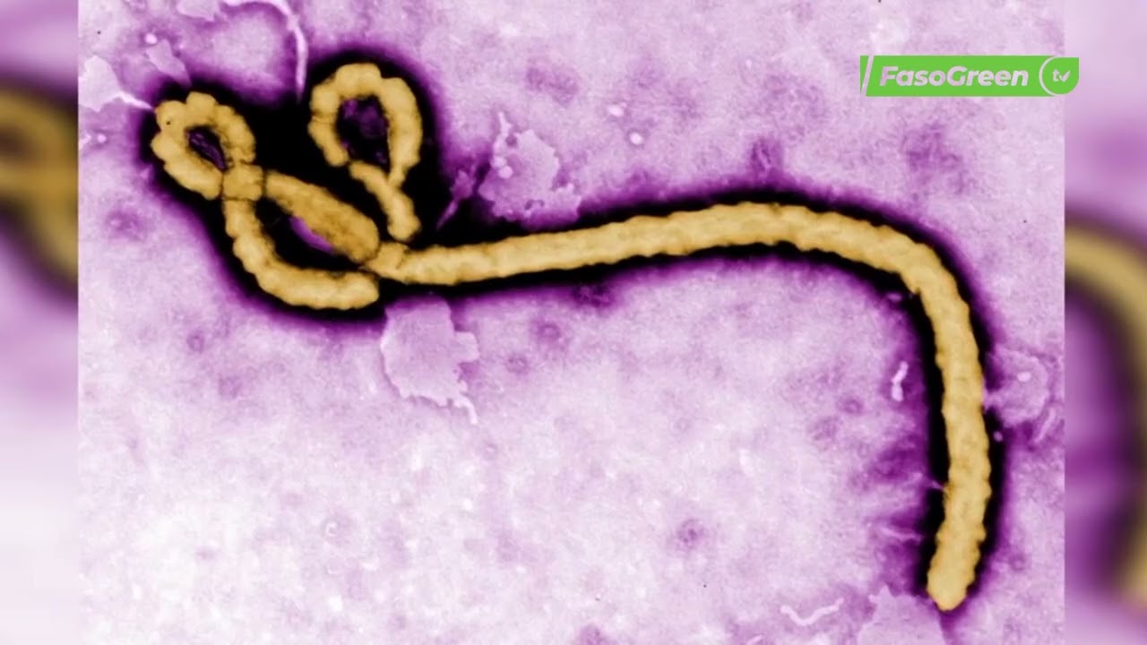 1. RDC : L’épidémie d’Ebola refait surface