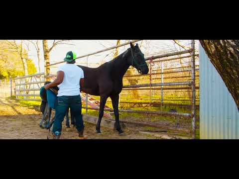 C’ing Jerome (Quicksand Remix)