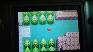 えっ！？ミニスカートが!?………　ポケモンファイアレッド実況PAT6