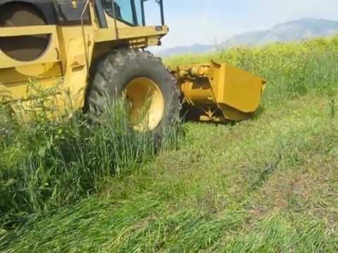 fx 375 triticale 2012