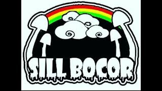 Download lagu Sill Bocor - Sering Bertemu (Lyrics) mp3