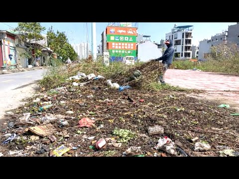 🧼 From Slimy Disaster to Spotless — Our Most Shocking Sidewalk Cleanup.