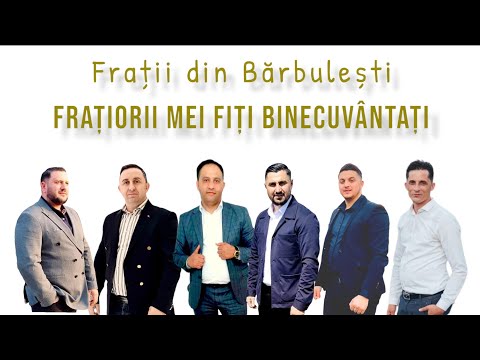 FRATIORII MEI -Frati din Barbulesti: Elvis, Sorin, Petrișor, Robert, Samuel & Mili