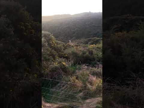 Southland Drone Services video