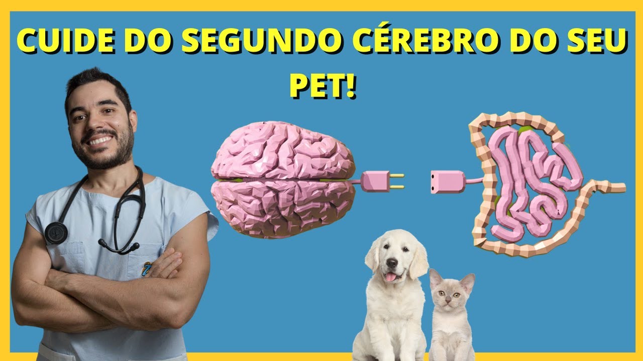 TUDO sobre DISBIOSE INTESTINAL EM CACHORROS E GATOS! O que é, Causas e Sinais Clínicos (Sintomas).