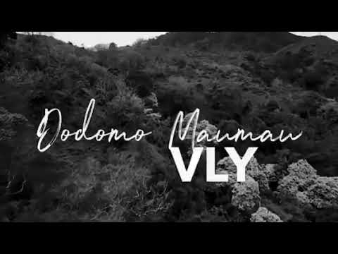 VLY - Dodomo Maumau (Official Music Video)