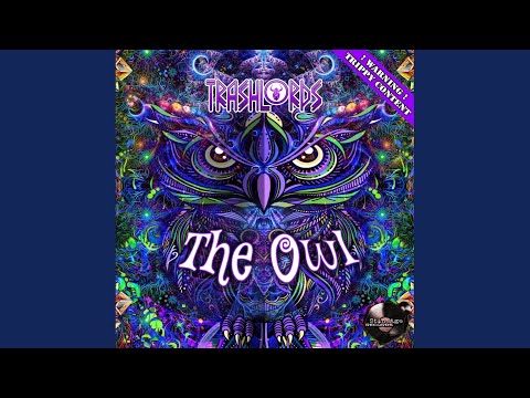 The Owl (Original Mix)