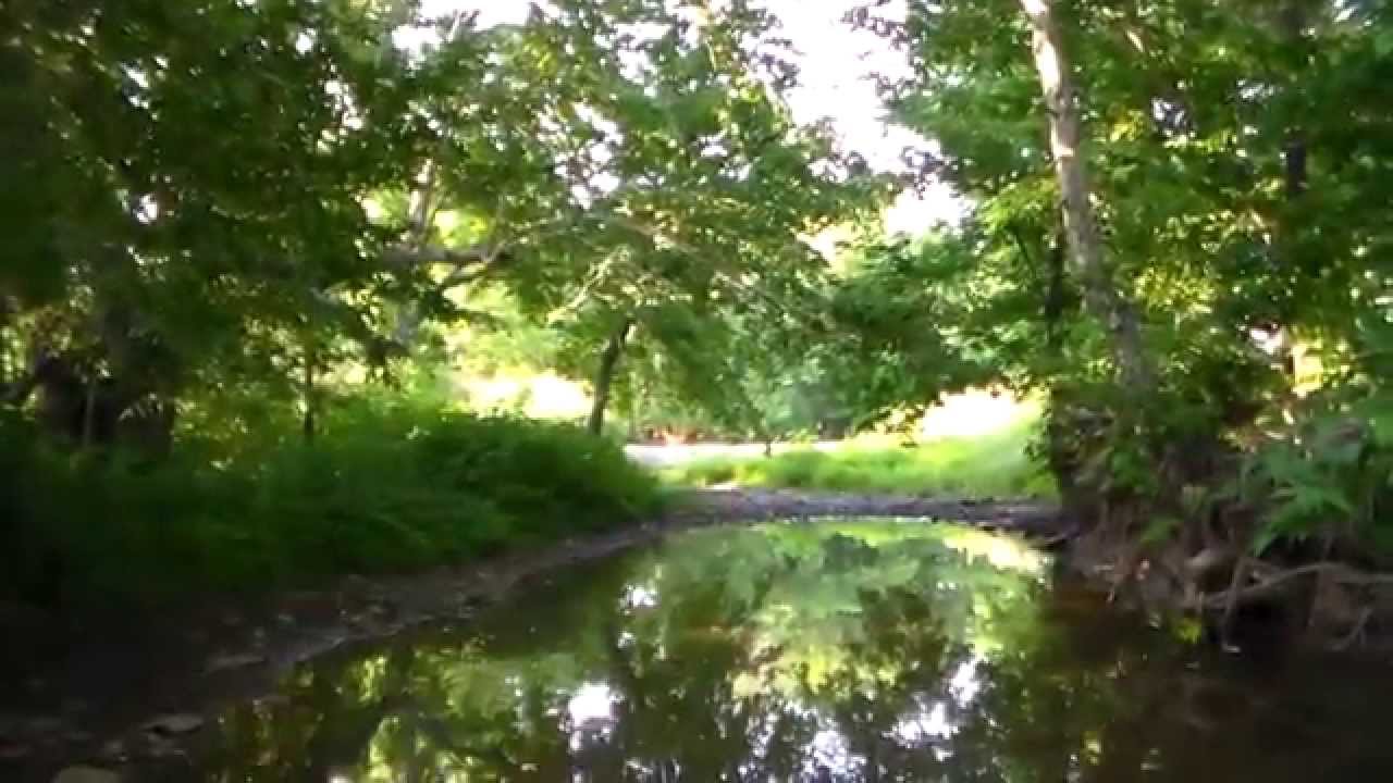 Kentucky Hunting Leases: Expert Tips for Evaluating Prime Property