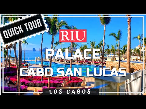 Videos del Riu Palace Cabo San Lucas 5★ en Cabo San Lucas, México
Ver Más
Ver
Precios
22
Cerrar
Consulta por Whatsapp 🇦🇷
Booking
Tripadvisor
Expedia
Agoda
Travelocity
Orbitz
Priceline
Trip
Skyscanner
Despegar
Kayak
Hoteles
Bestday
Destinia
Trivago
Turismocity
Almundo
Lastminute
Hotwire
Cheaptickets
Tui
Wotif
