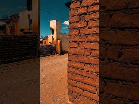 AMANDO EL NORTE🦙 en CUSI CUSI🥰