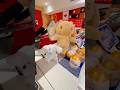 Mocha Milk Sanrio Hellokitty Buildabear Nyc