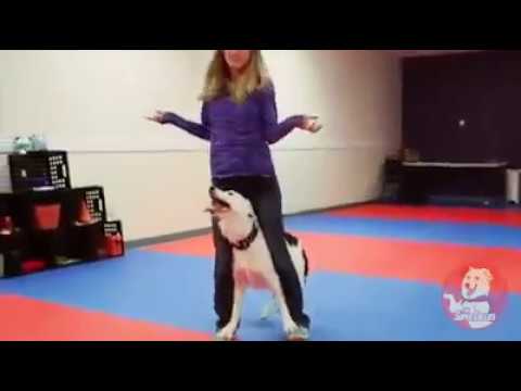 A man like need to be this dog..