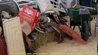 ASOCIACIONES GANADERAS, EMPRESARIOS, FUNCIONARIOS Y FAMILIAS APORTARON 3.2 MILLONES DE PESOS PARA EL