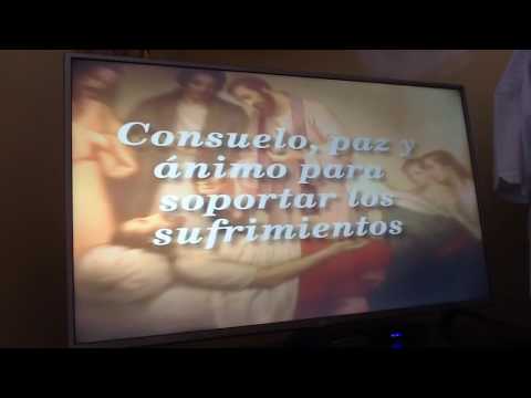 Ewtn perdón de los pecados