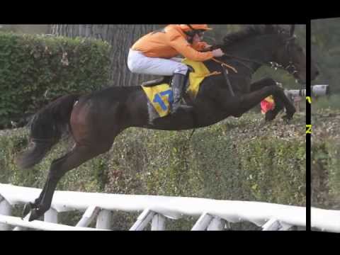 122.Velká Pardubická České Pojišťovny