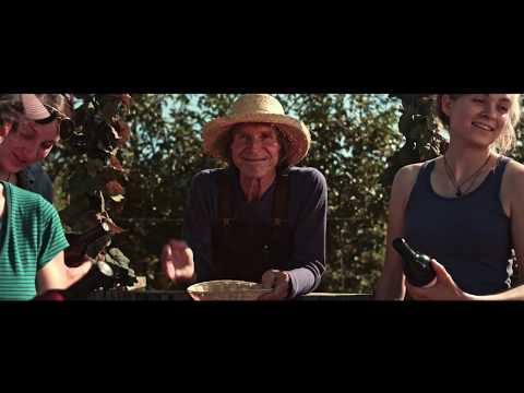 Windfall Rising | Short Film