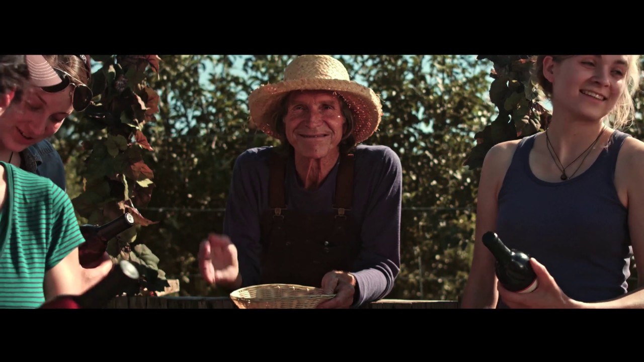 Windfall Rising | Short Film