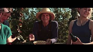 Windfall Rising | Short Film