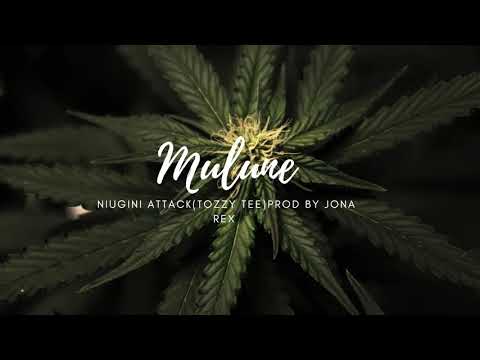 Mulune (2020) Niugini Attack [Tozzy Tee] Prod By Jona Rex