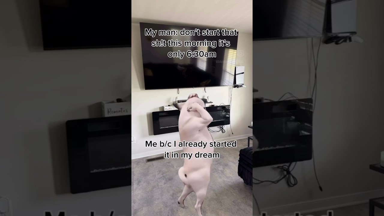 About that Life! 🤣