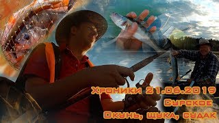 Рыбалка щука в пензе 2019 сентябрь