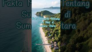 Download lagu Suku Nias, kuat, berani, dan penuh tradisi 🗿✨ #SukuNias #faktaunik #tradisi #budaya #viral #fypシ mp3 Download lagu Suku Nias, kuat, berani, dan penuh tradisi 🗿✨ #SukuNias #faktaunik #tradisi #budaya #viral #fypシ mp3