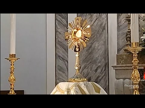 Diretta Messa e Adorazione Eucaristica ore 18:30 giovedì 14 gennaio 2021 Belmonte Mezzagno