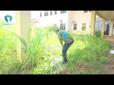 WATCH: Obuasi East MP Joins Weeding Exercise at Afari Military Hospital During Inspection