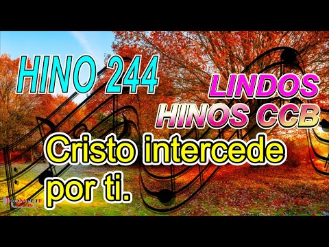 Cristo intercede por ti - Hino 244 CCB  #TrompeteWeb #HinosCCB #Hino244CCB #Hinostrompete
