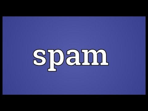 image-What is the meaning of the word spam?