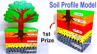 soil profile model 3d making using cardboard - diy - science project