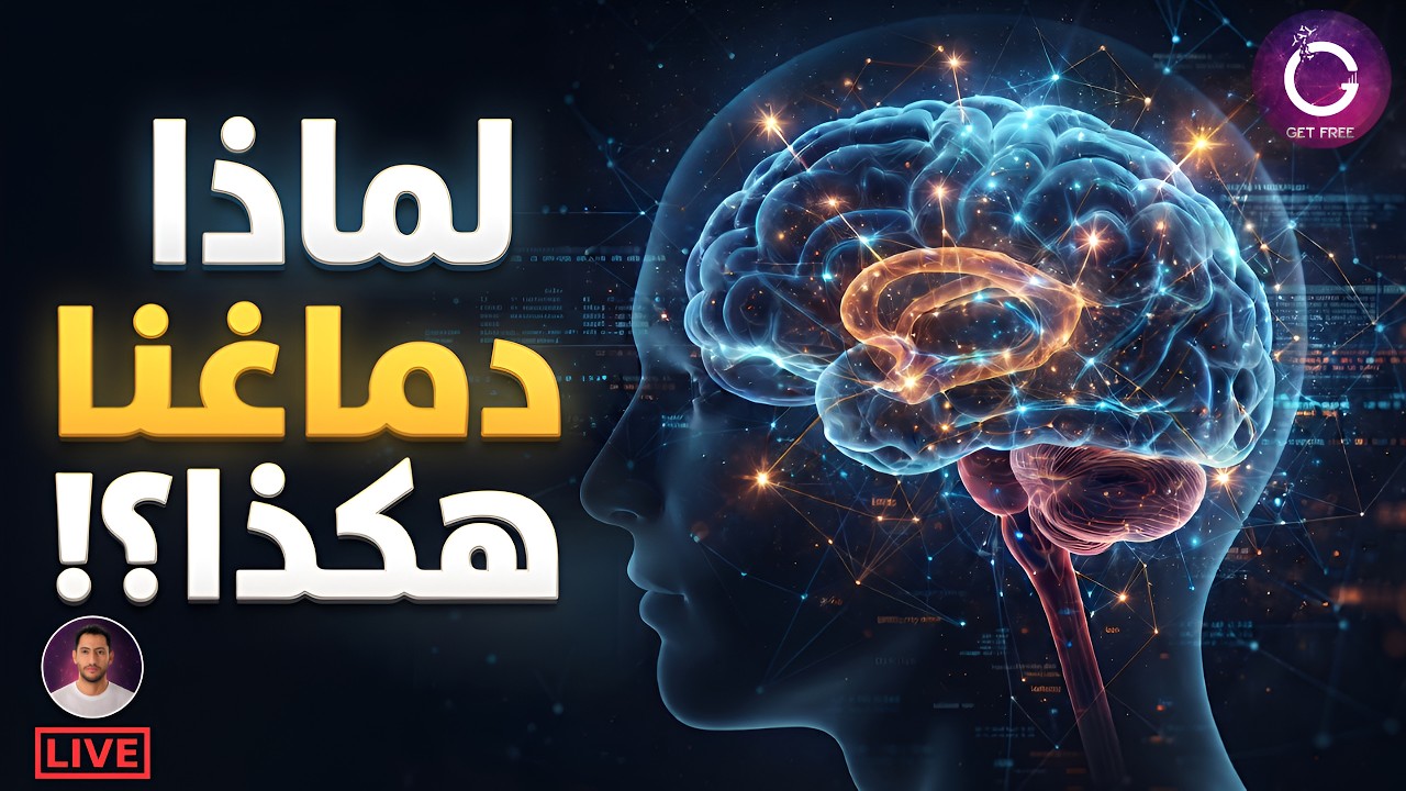 الدماغ البشري | كيف تطور؟ ولماذا هو بهذا الشكل؟ وكيف يعمل؟