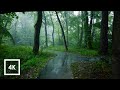 Relaxing Walk in the Rain, Umbrella and Nature Sounds for Sleep and Relaxation | 4k ASMR