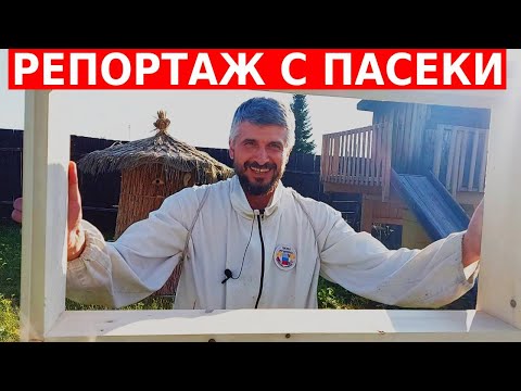 НСК Сибирский Пчелоблог Дмитрия Романова Лежак 24 рамки