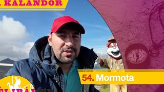 54. Mormota lesen (20 perc) a Hegyi Boszorkányon (2195 m) -Délibáb Tv-