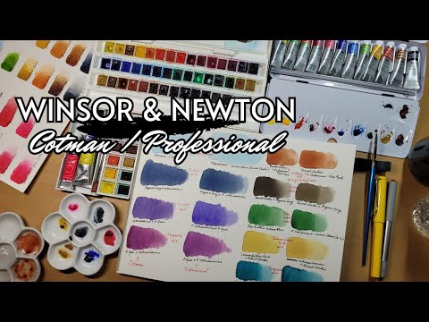 Winsor & Newton Comparison and Review | Cotman vs. Professional