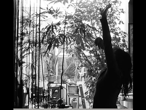 Paulette Wright - Your Life (official video)