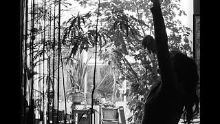 Paulette Wright - Your Life (official video)