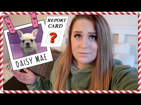FIRST DAY OF PUPPY TRAINING SCHOOL | Vlogmas Day 8 Video
