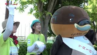 2026/6/8放送・知ったかぶりカイツブリにゅーす