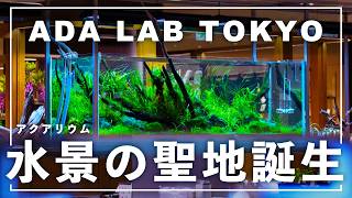 【ADA LAB TOKYO】日本最大級!? アクアリウム・パルダリウム・植物好きのための楽園が誕生!ADAの、ネイチャーアクアリウムの第二の聖地を紹介!